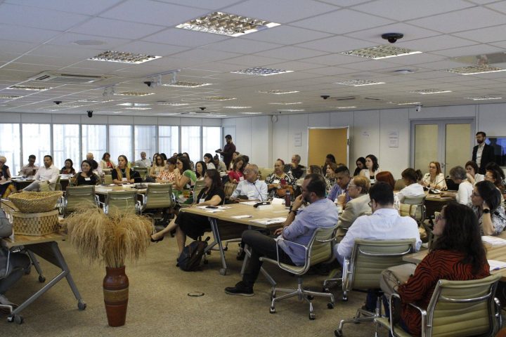 CFA participou de Oficina de Planejamento Estratégico do Artesanato Brasileiro, em Brasília